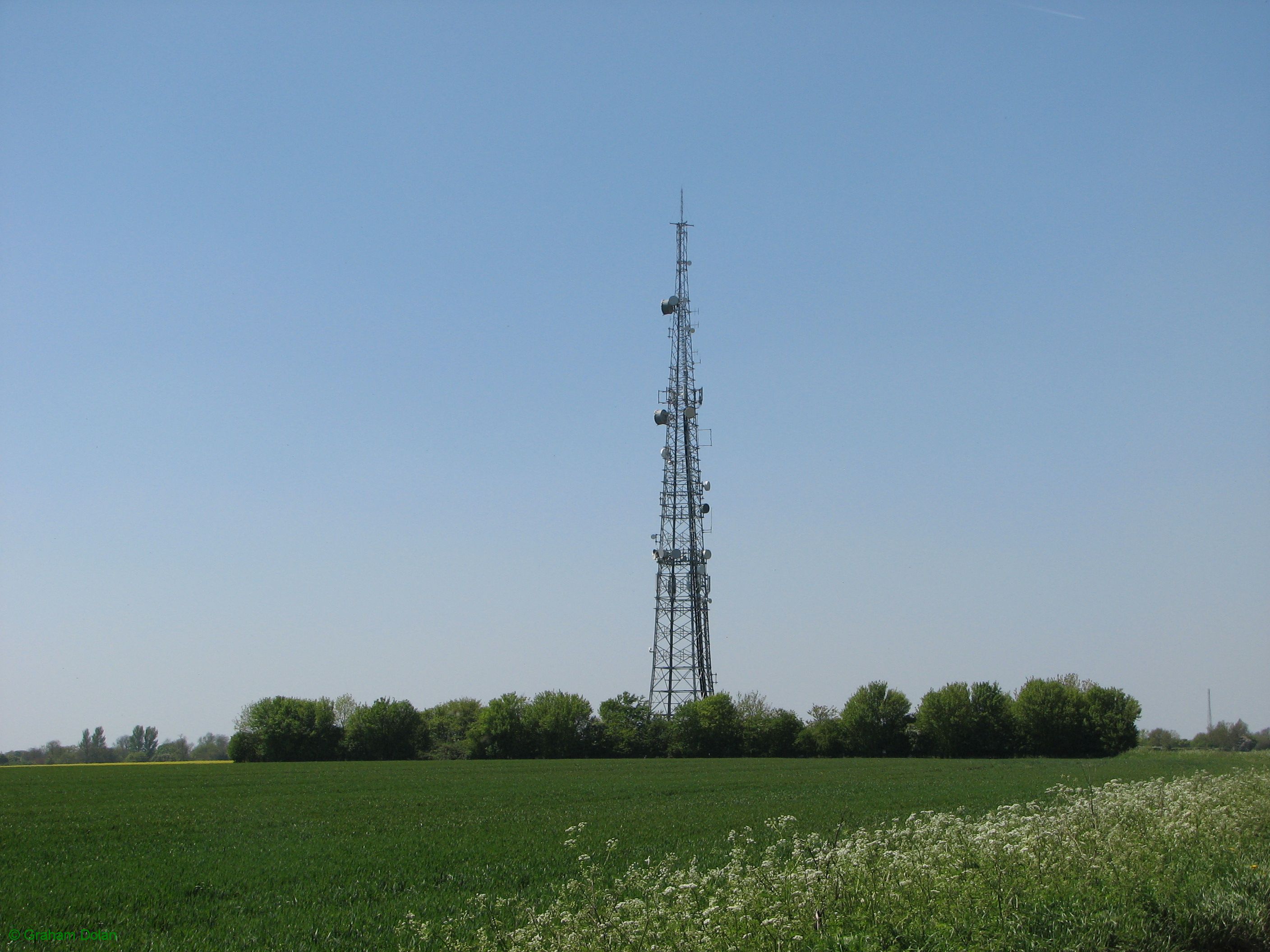 Greenwich Meridian Marker; England; Hertfordshire; Reed